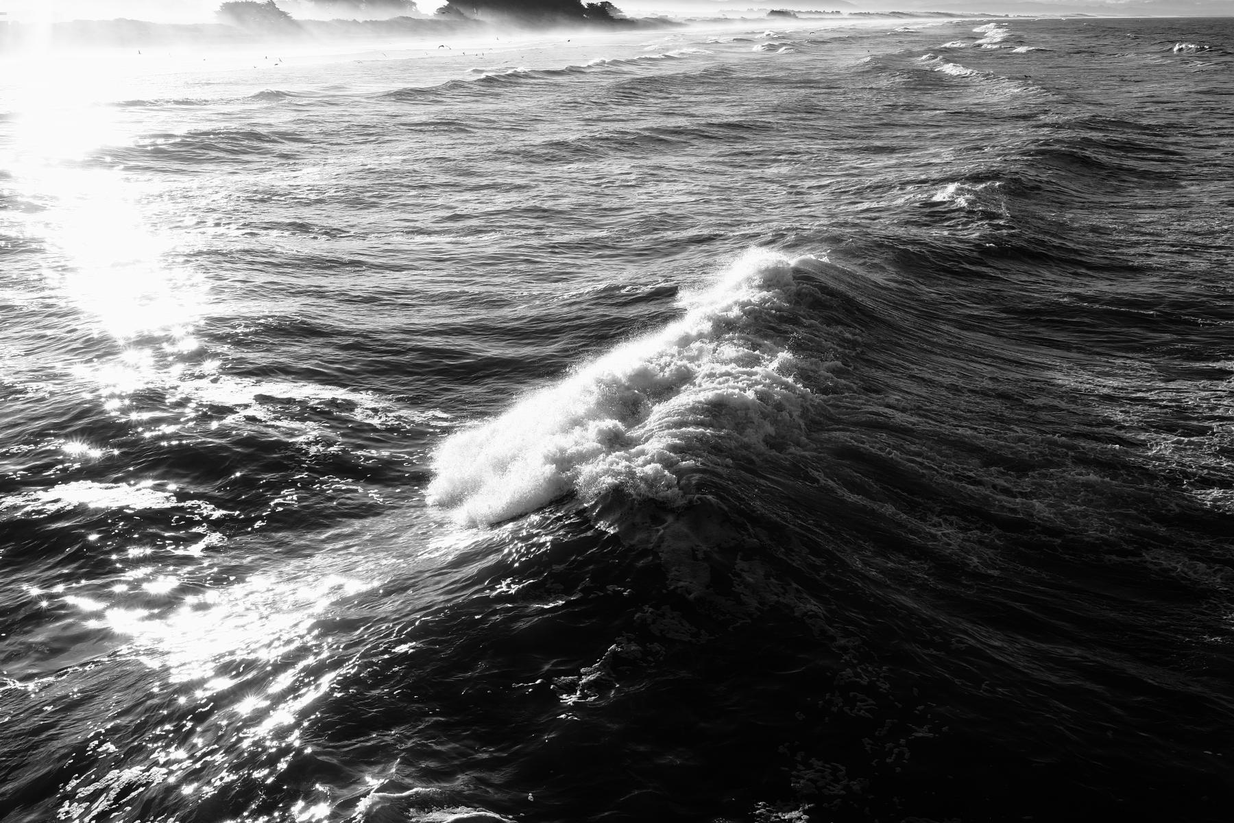 Waves collection cover