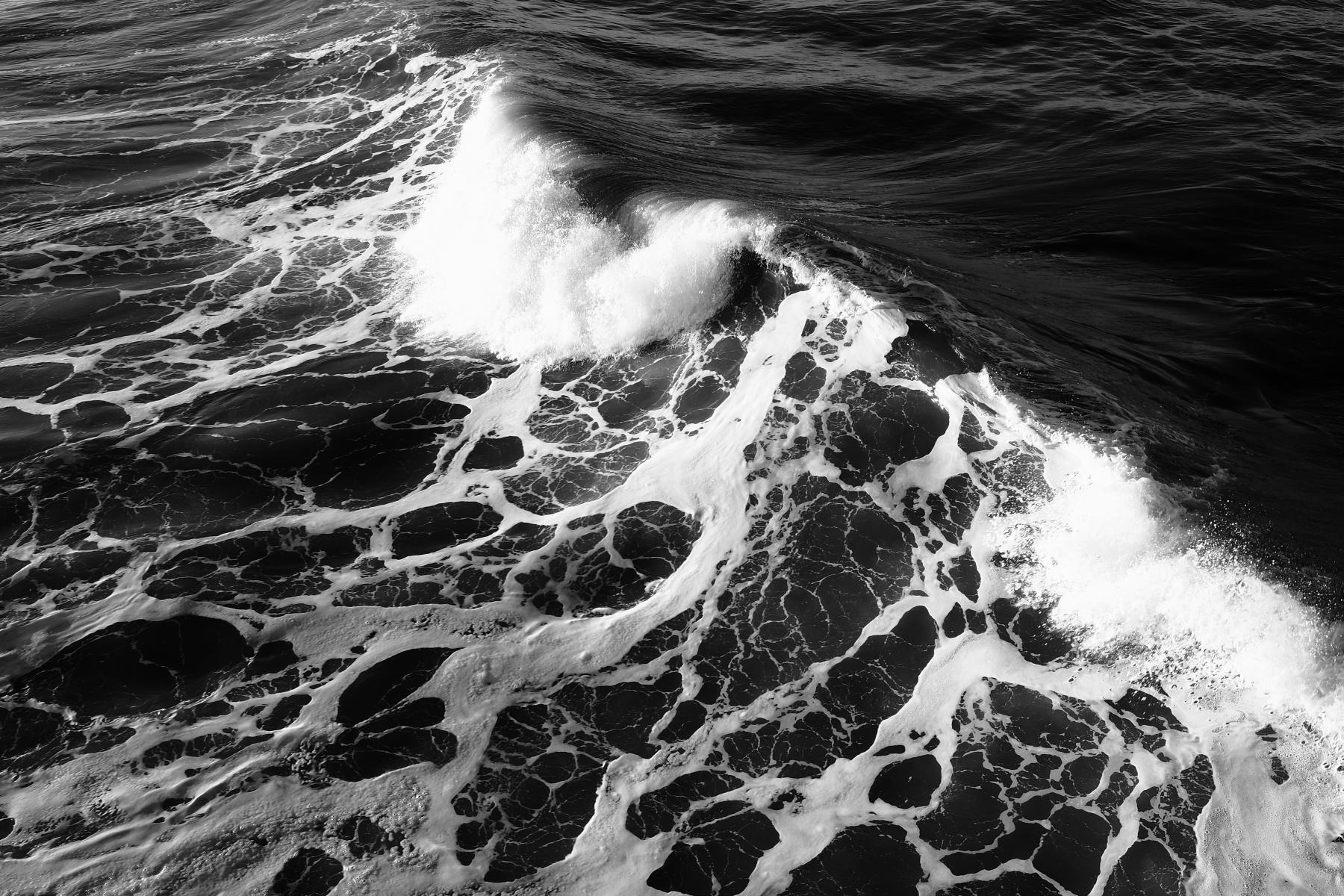 Waves collection cover